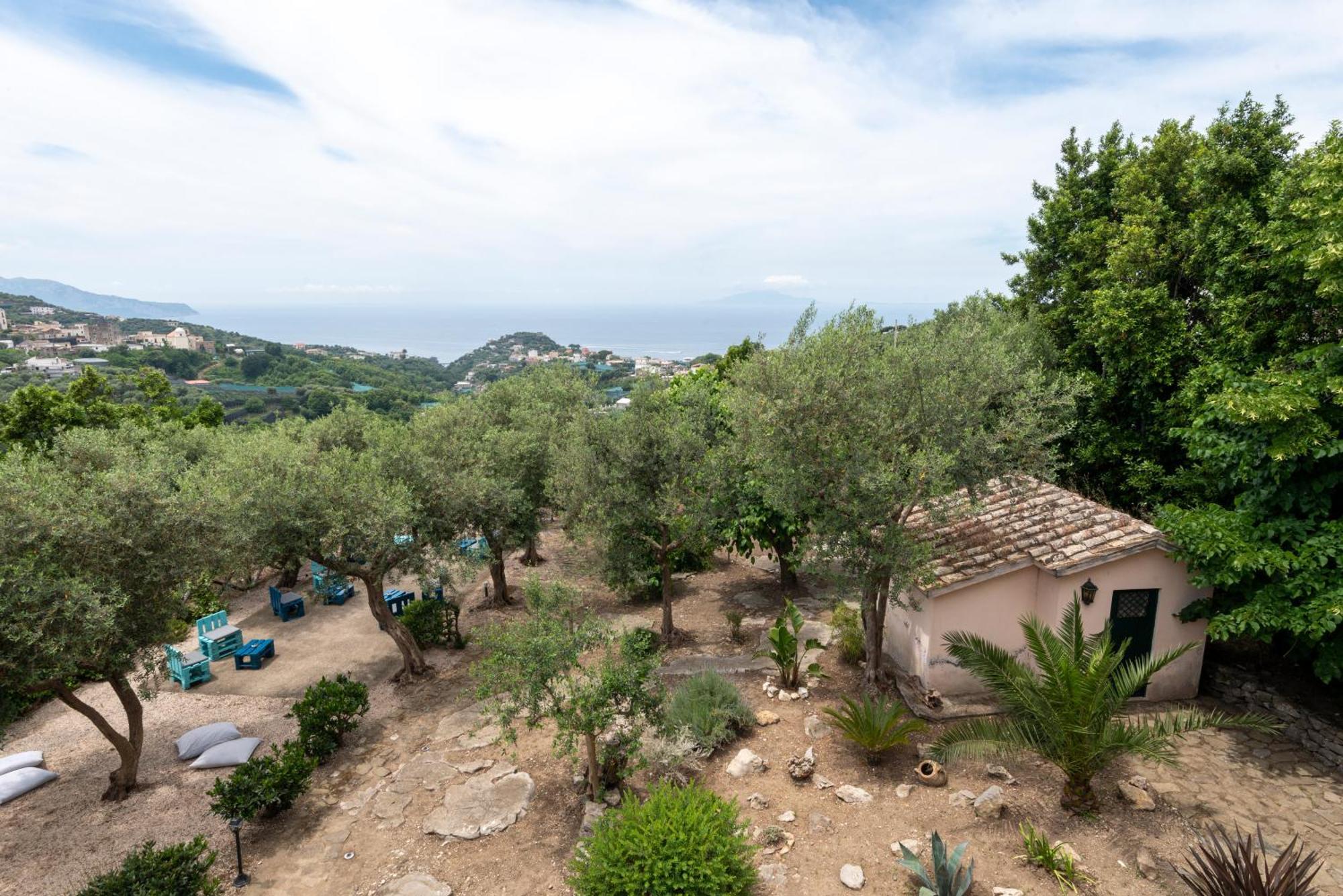 ماسّا لوبْرينسِ Villa Il Turro المظهر الخارجي الصورة